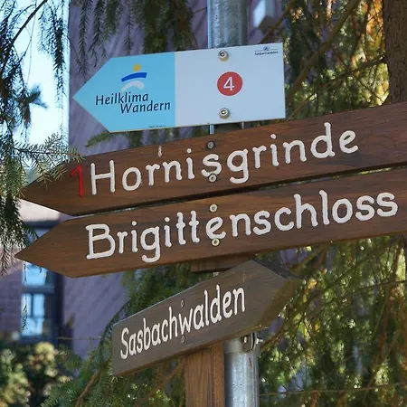 Apartment Terrassenpark Sasbachwalden