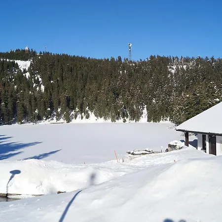 Apartment Terrassenpark Sasbachwalden