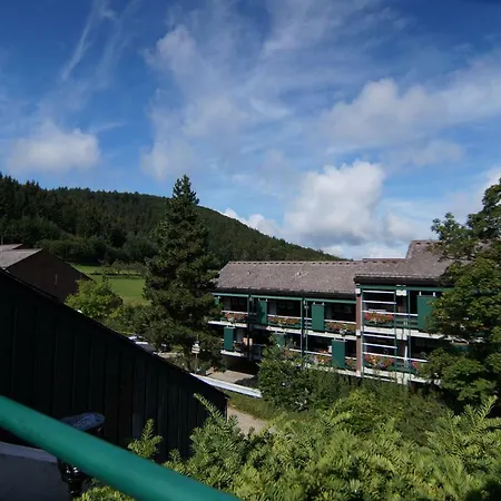 Apartment Terrassenpark Sasbachwalden